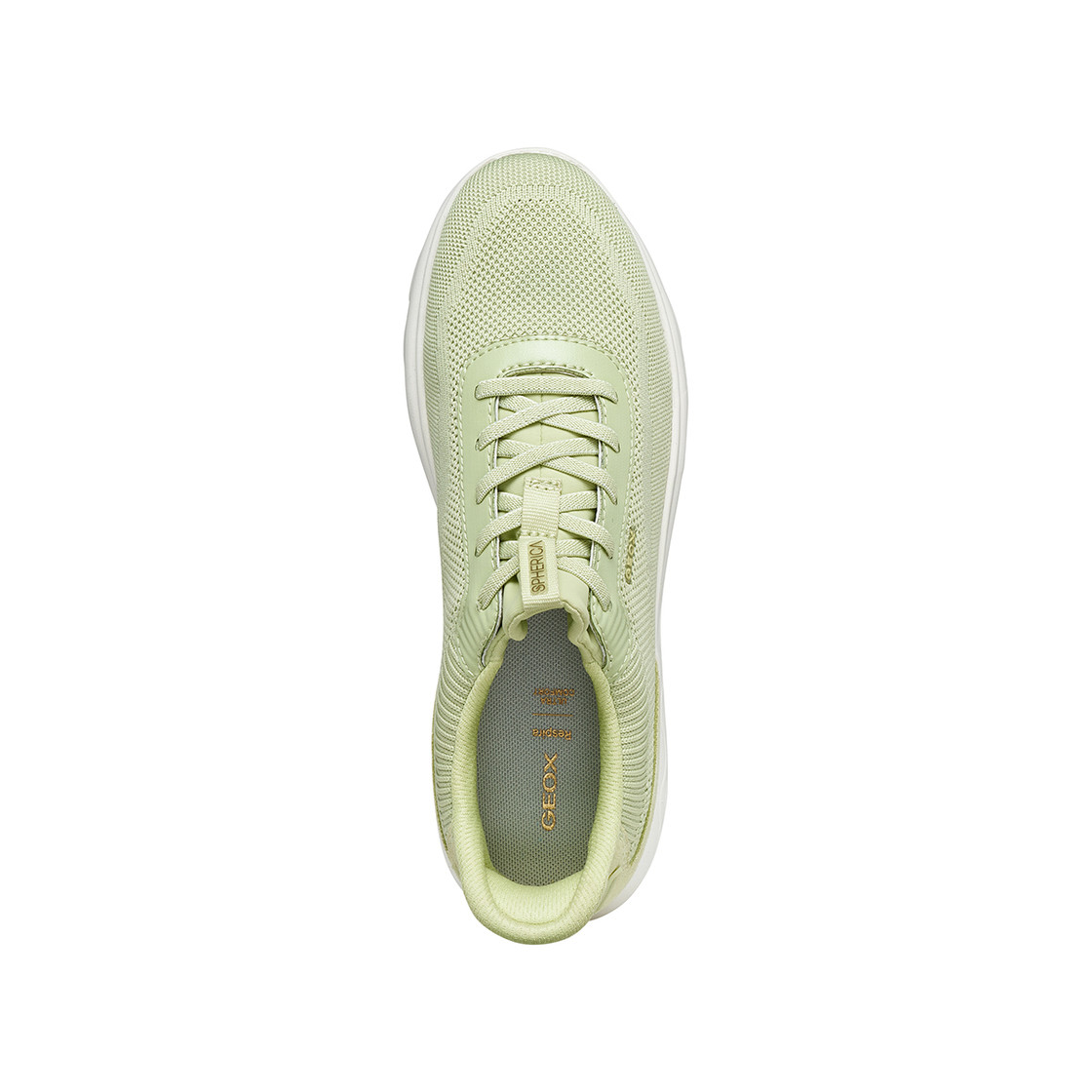 Geox SPHERICA PLUS - Green, light - Sole