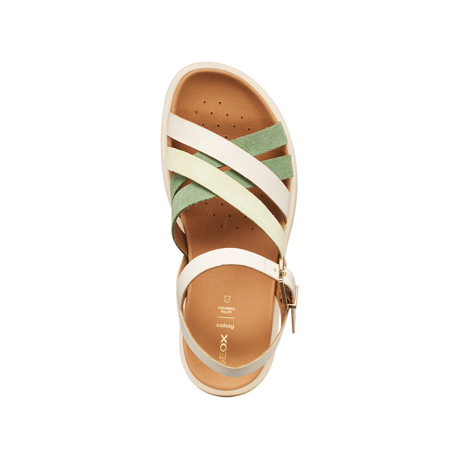 Geox XAND - Beige / Green - Sole