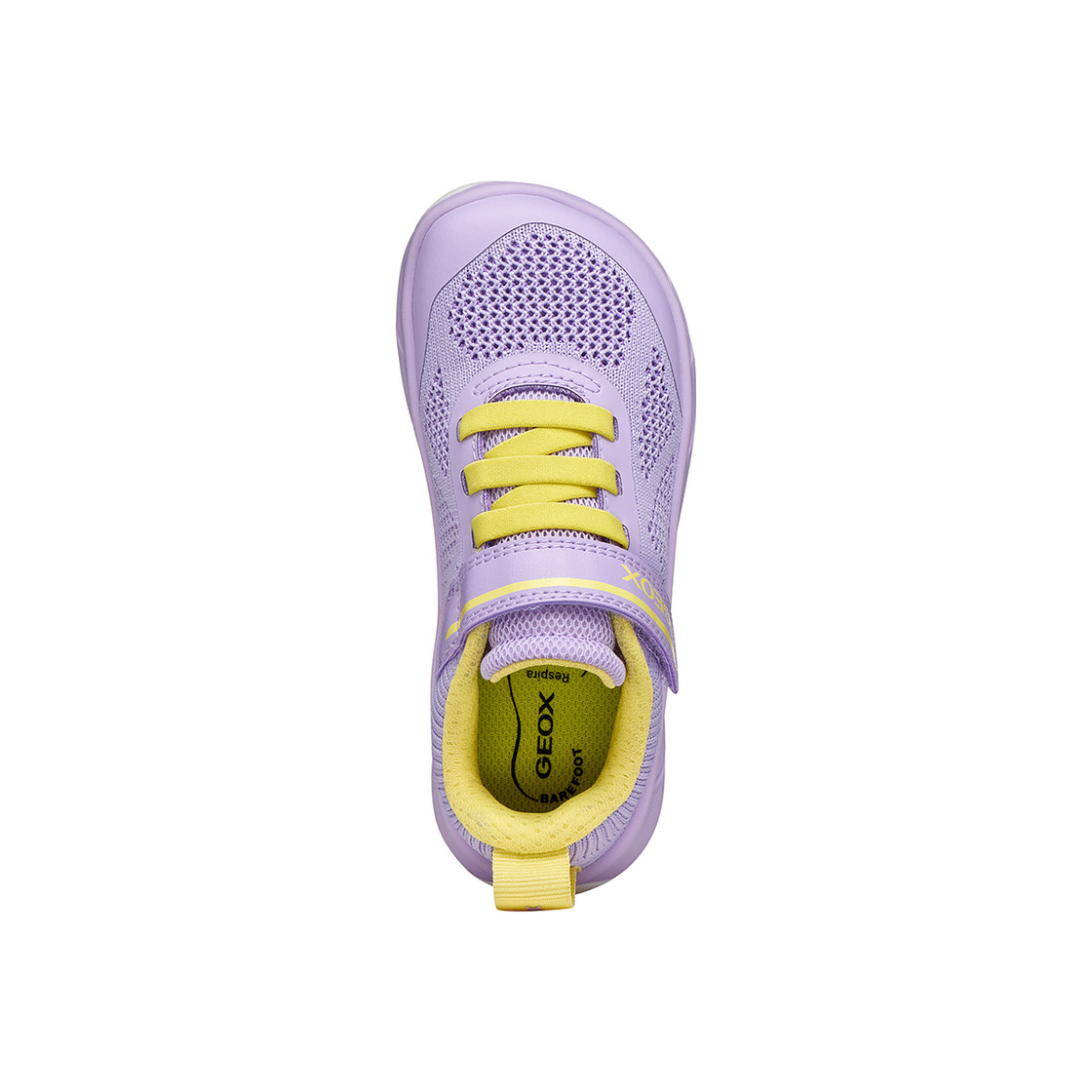 Geox FOOT-RUN - Purple - Sole