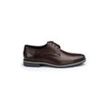 Lloyd DRIFT 110 - Brown - Top View