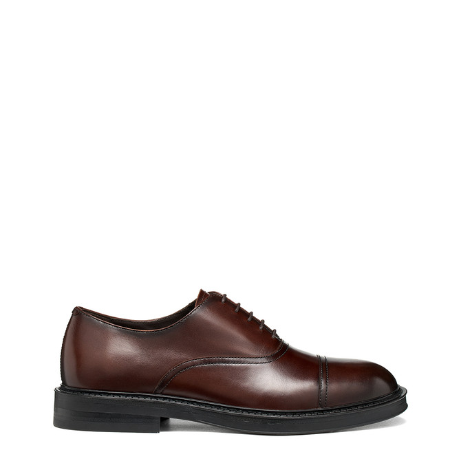 Geox BEXFORD - Dark Brown - Special Image