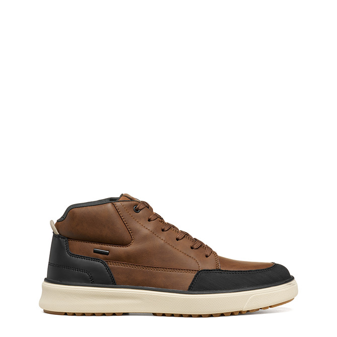 Geox CENISIO - Brown, mixed colors - Back view