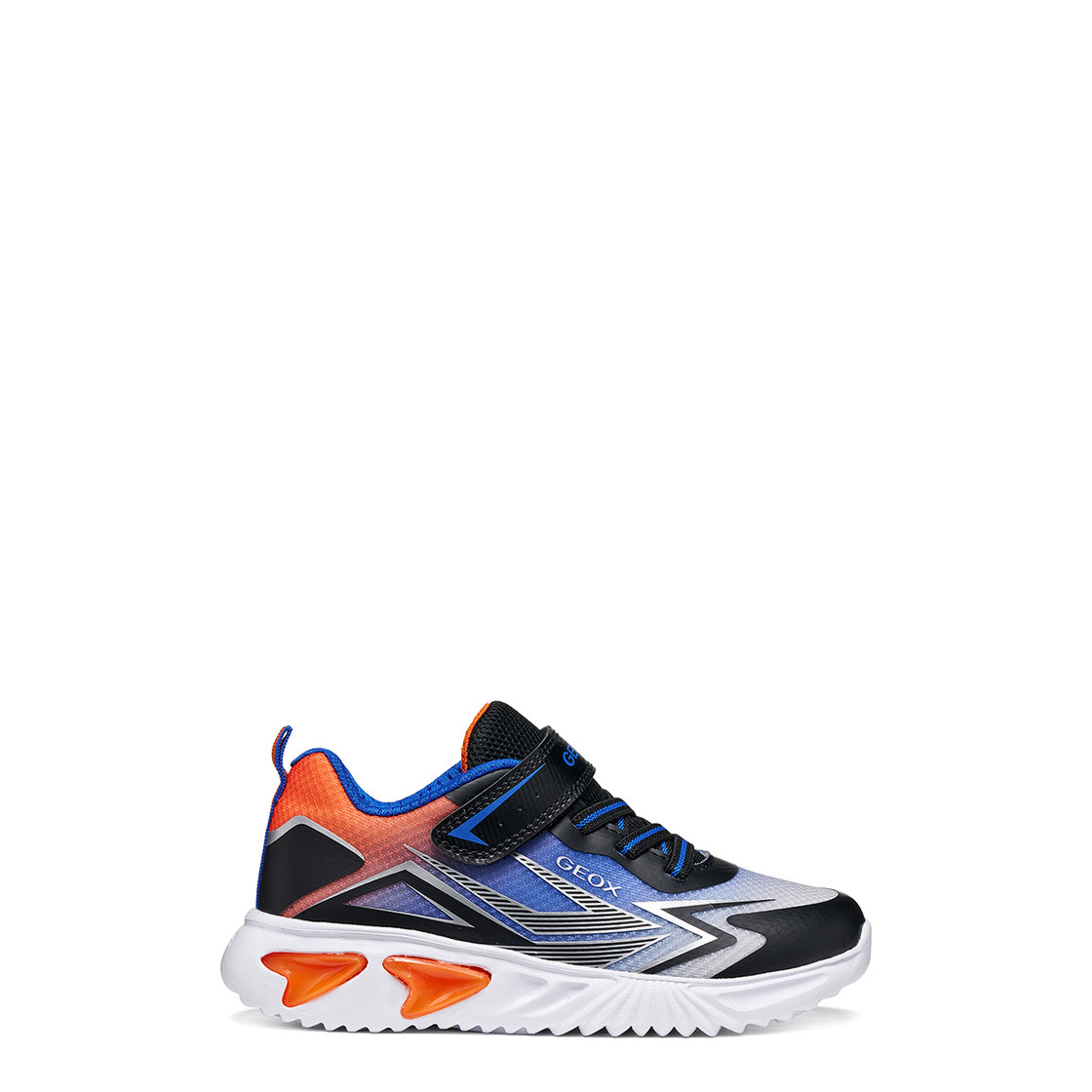 Geox ASSISTER - Blue, mixed colors - Back view