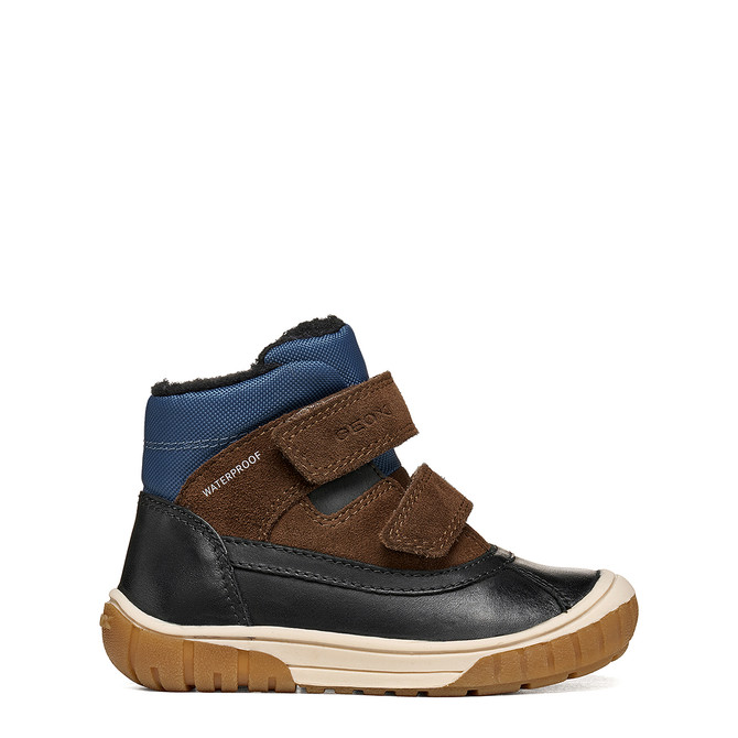 Geox OMAR - Blue, multicolor - Back view
