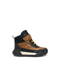 Geox TREKKYUP - Brown - Back View