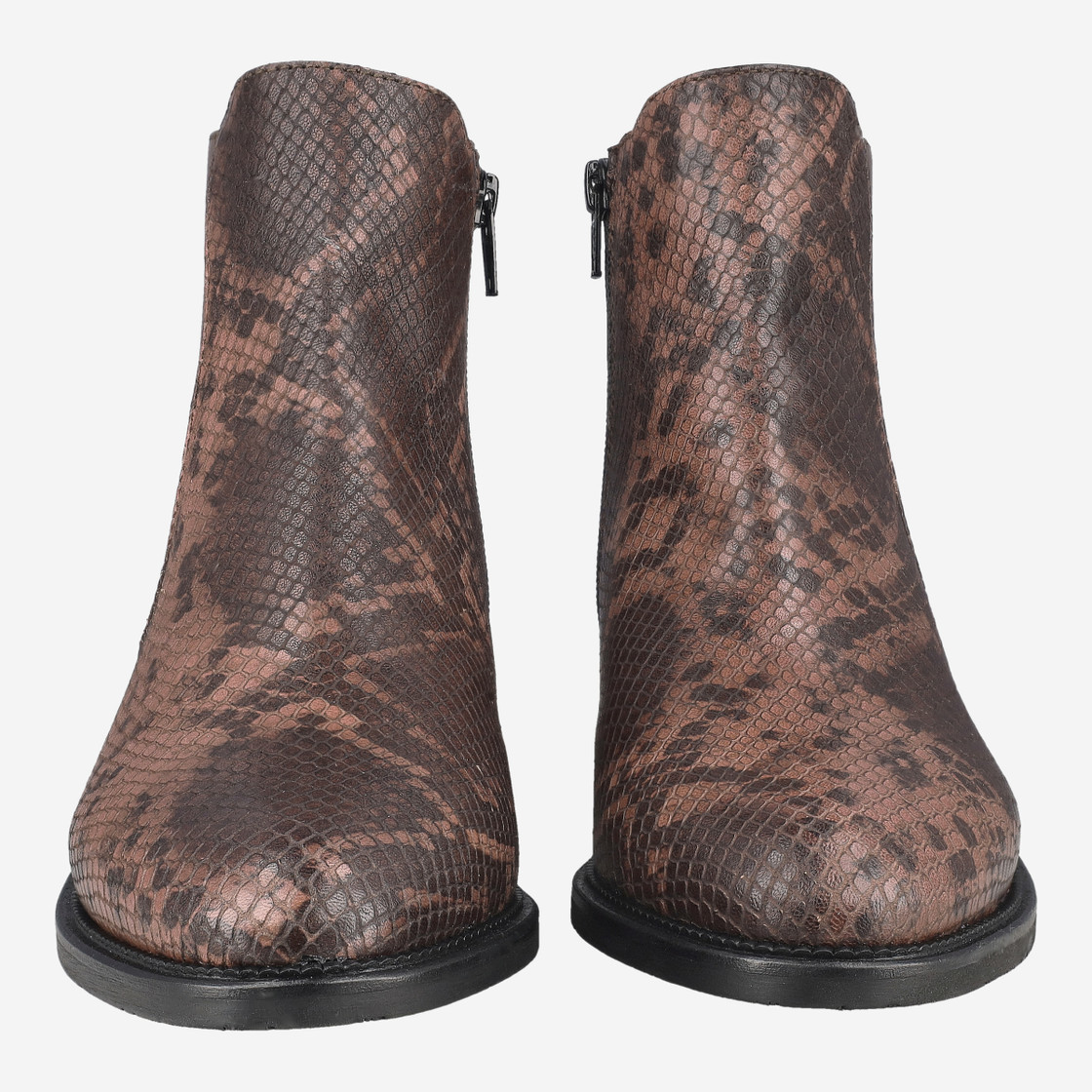 Donna Carolina ESTER LINE - Brown Mix - Front View