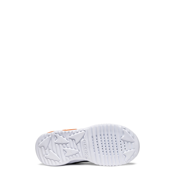 Geox ASSISTER - Blue, mixed colors - Top view
