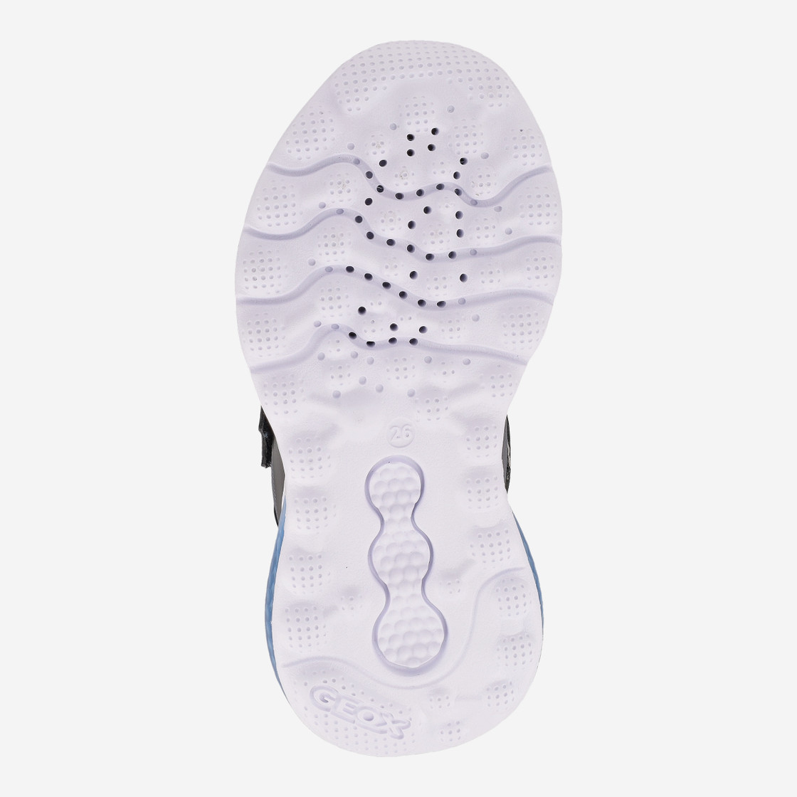 Geox ACTIVART ILLUMINUS - Blue, mixed colors - Top view