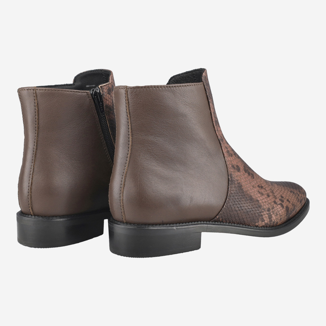 Donna Carolina ESTER LINE - Brown Mix - Special Image