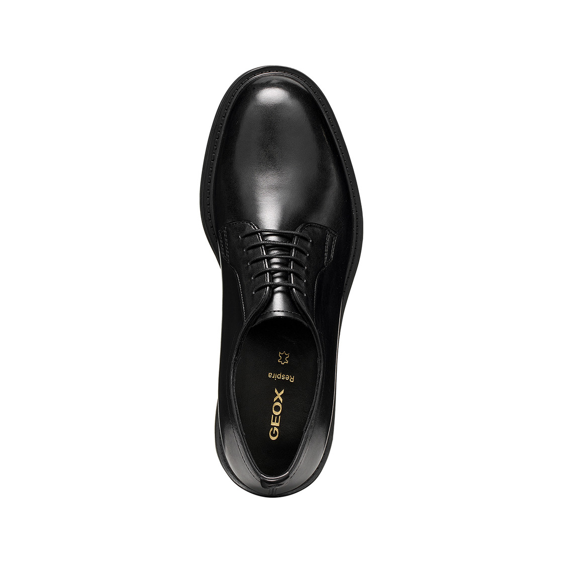 Geox BEXFORD - Black - Sole