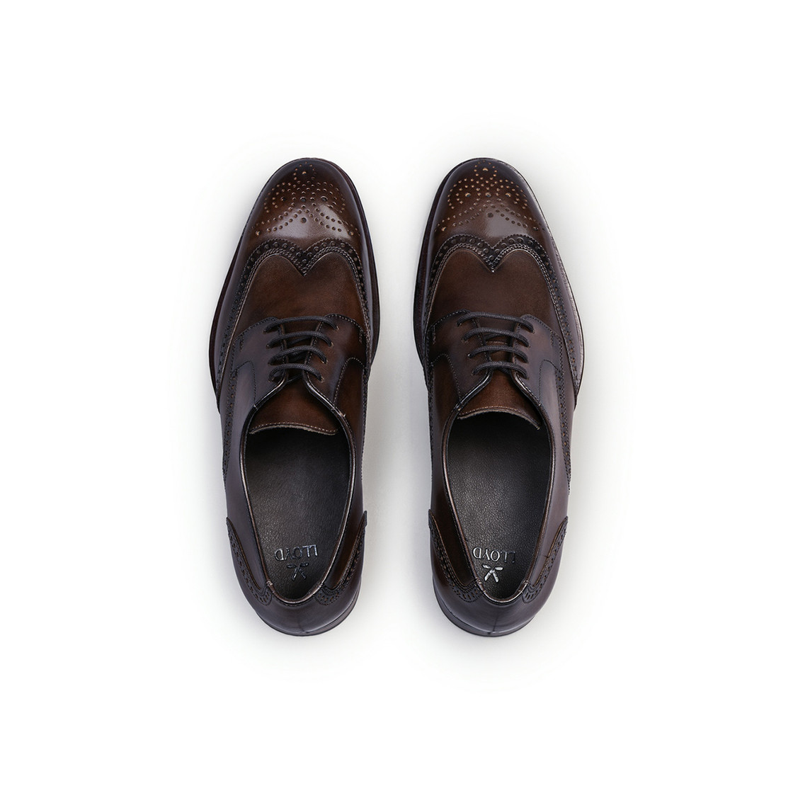 Lloyd CORE PLUS 140 - Brown - Sole