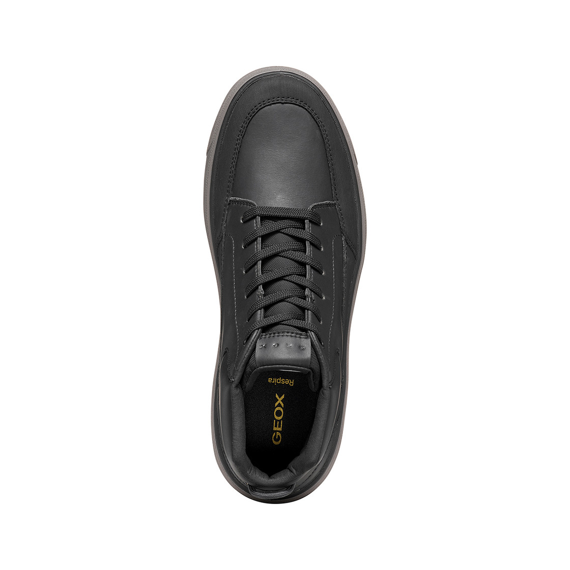 Geox CENISIO - Black - Sole