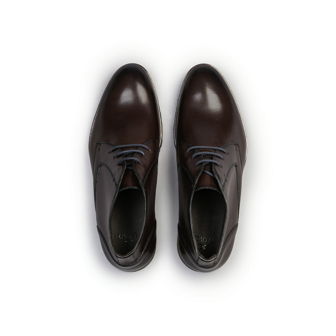 Lloyd DRAMON 325 - Brown - Sole