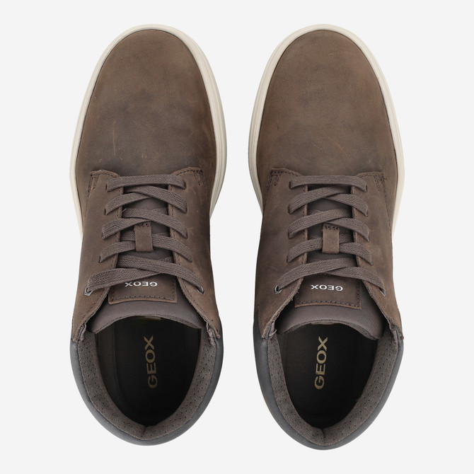 Geox BALTMOORE - Brown - Sole