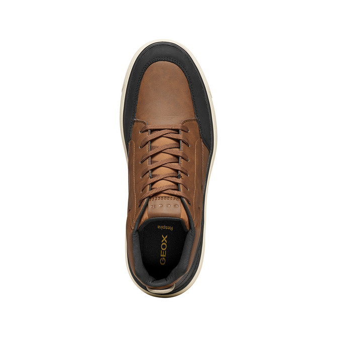 Geox CENISIO - Brown, mixed colors - Sole