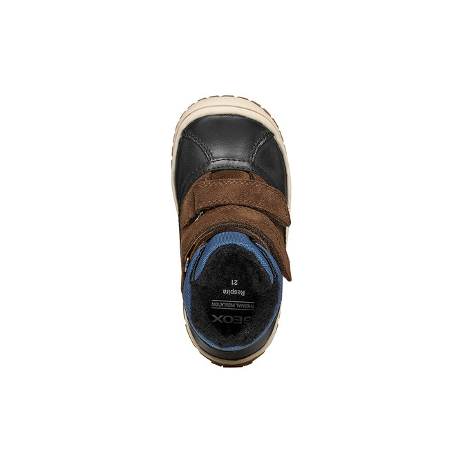 Geox OMAR - Blue, mixed colors - Sole